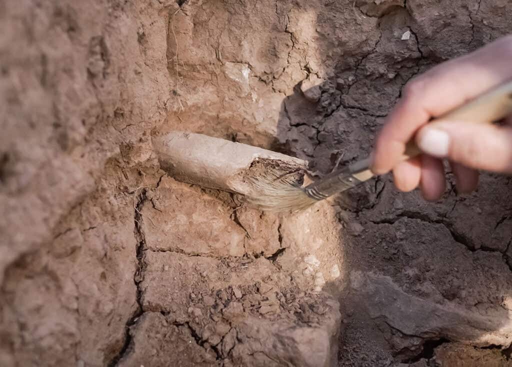 Ausgrabung menschliche Knochen im Steingrab