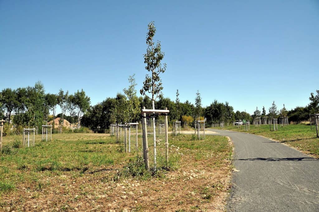 Geburt, Hochzeit, Jubiläum: Jetzt Ereignisbaum sichern