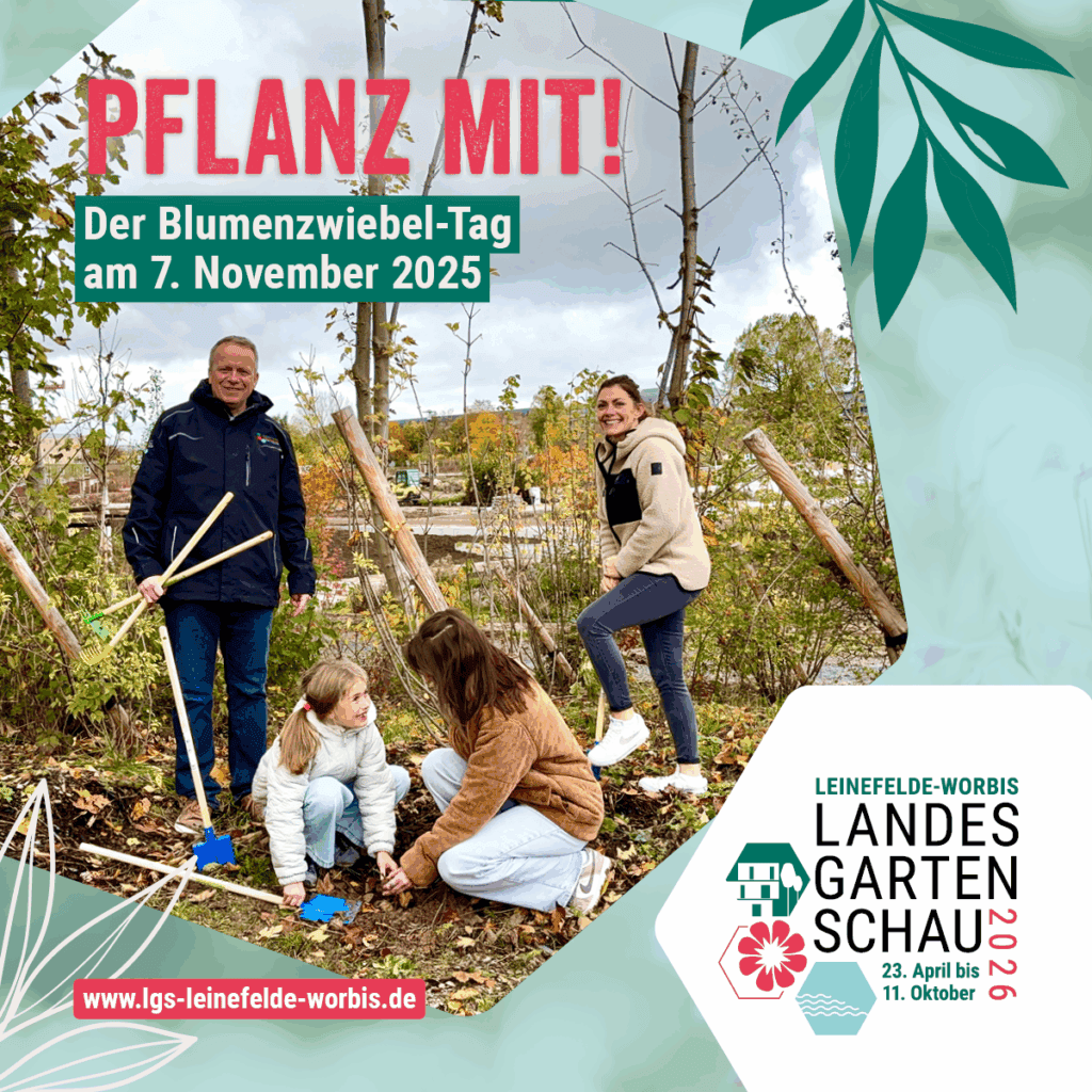 Eine Gruppe von Menschen steckt Blumenzwiebeln in die Erde