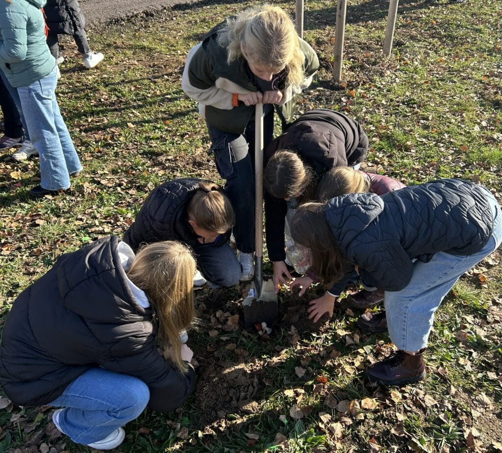 Blumenzwiebel-Tag bringt Farbe ins Gartenschaugelände