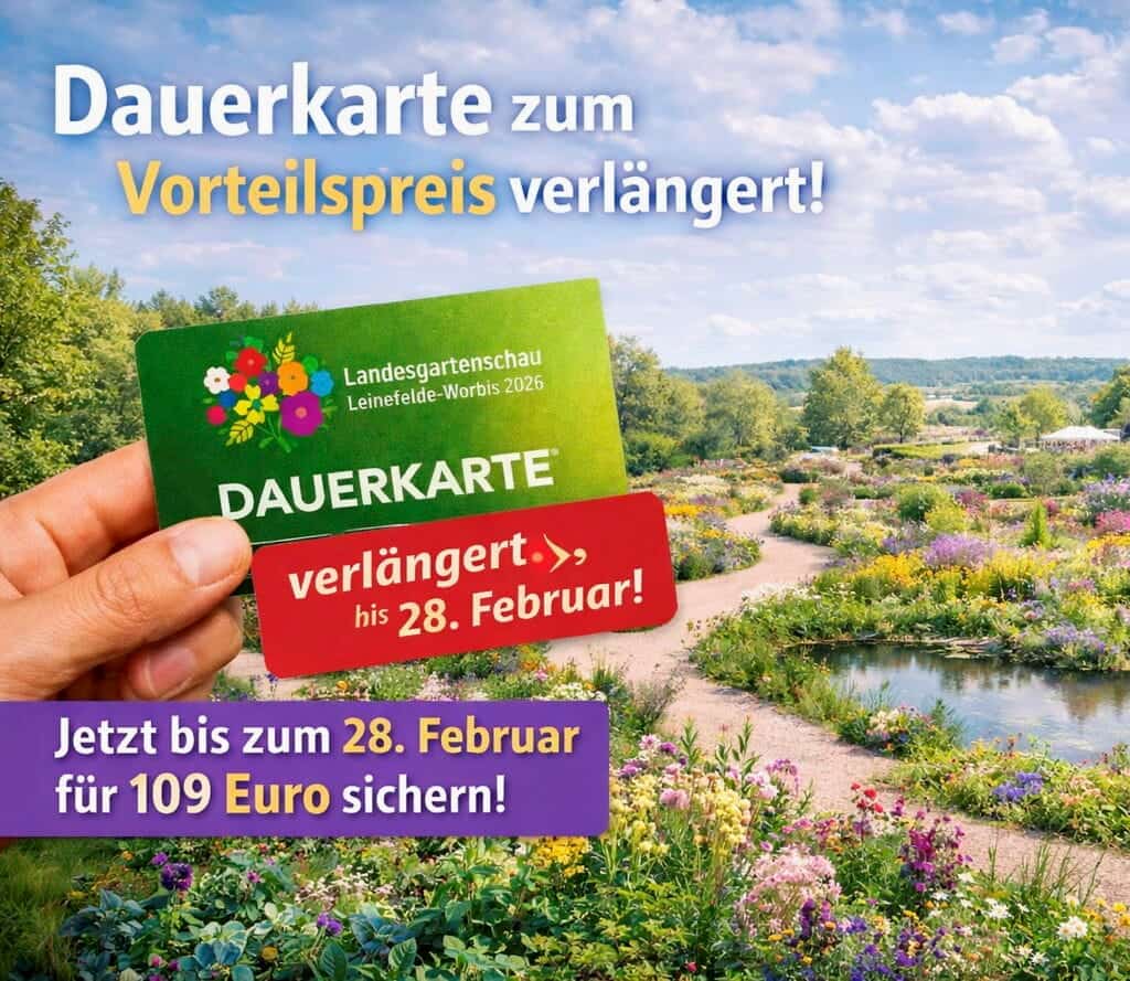 Vergünstigte Dauerkarte jetzt bis 28. Februar sichern
