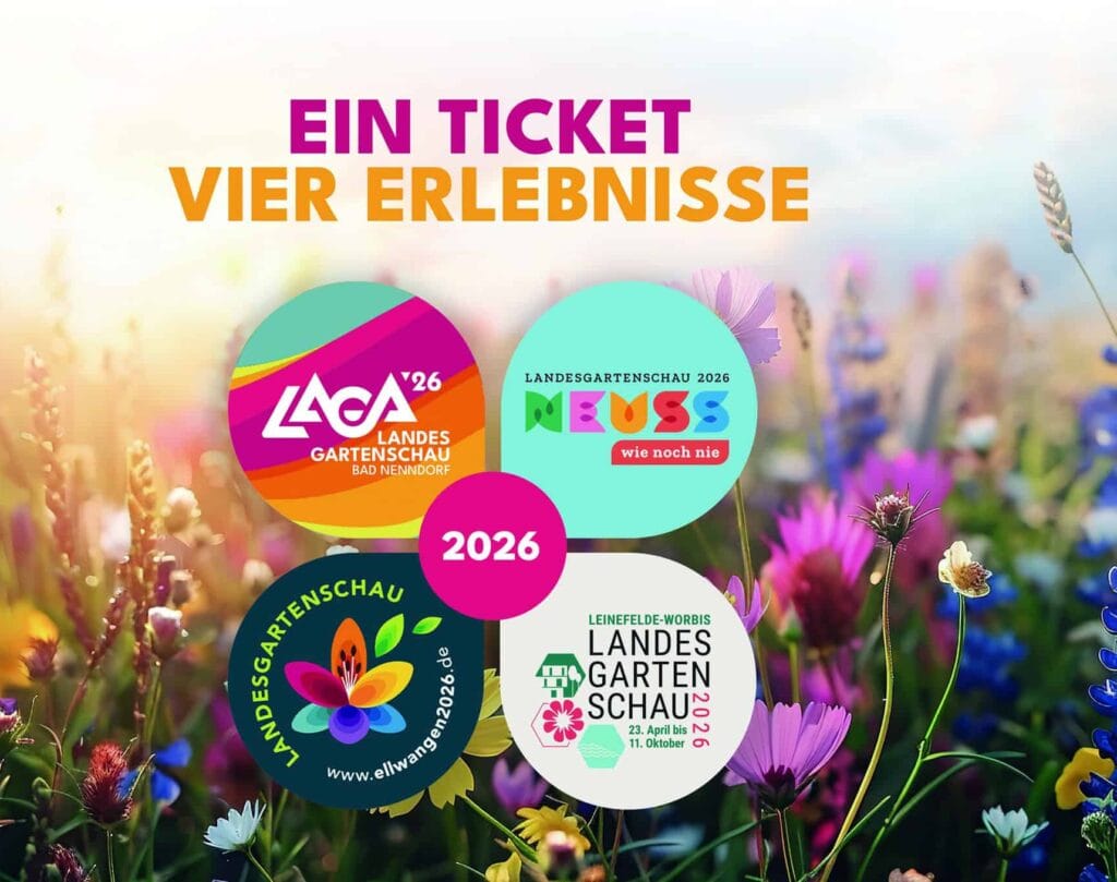 Bereits 2500 LGS-Dauerkarten verkauft: Rabatt läuft weiter