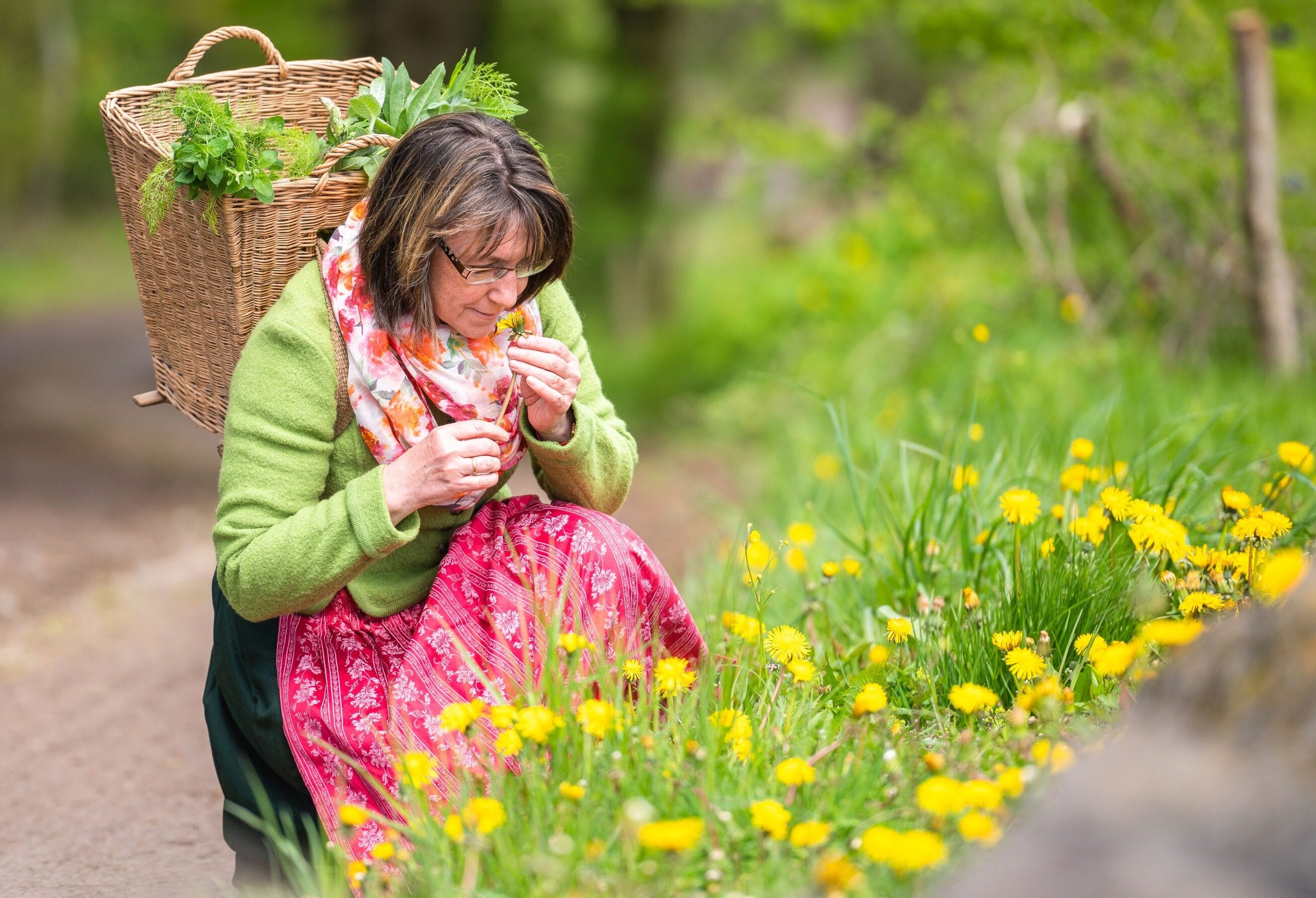 Foto 2_Bergwiesen_Kraeuter_NNL Thüringer Wald_Foto_C_Schmid