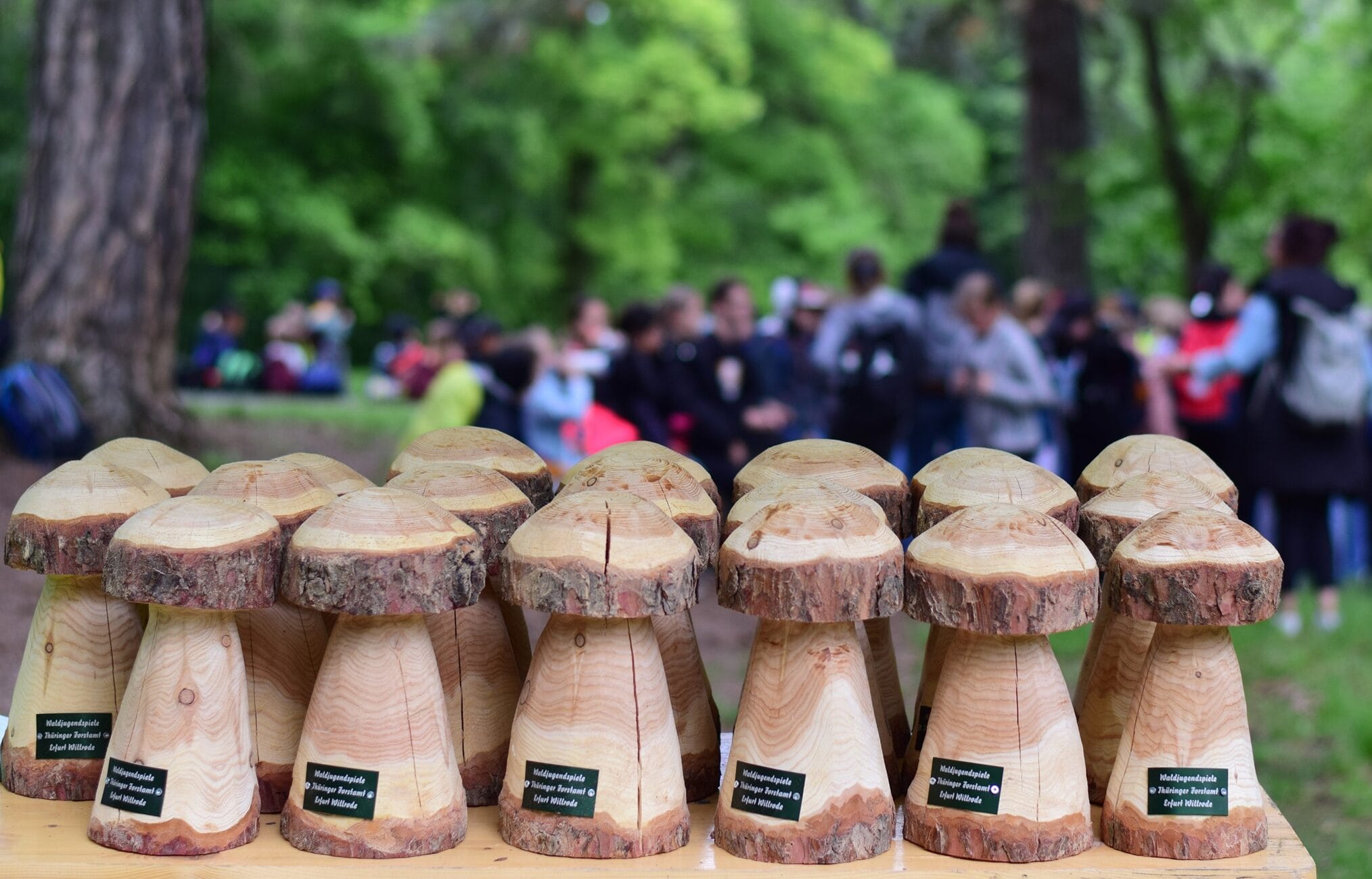 Komm_mit_auf_den_Holzweg