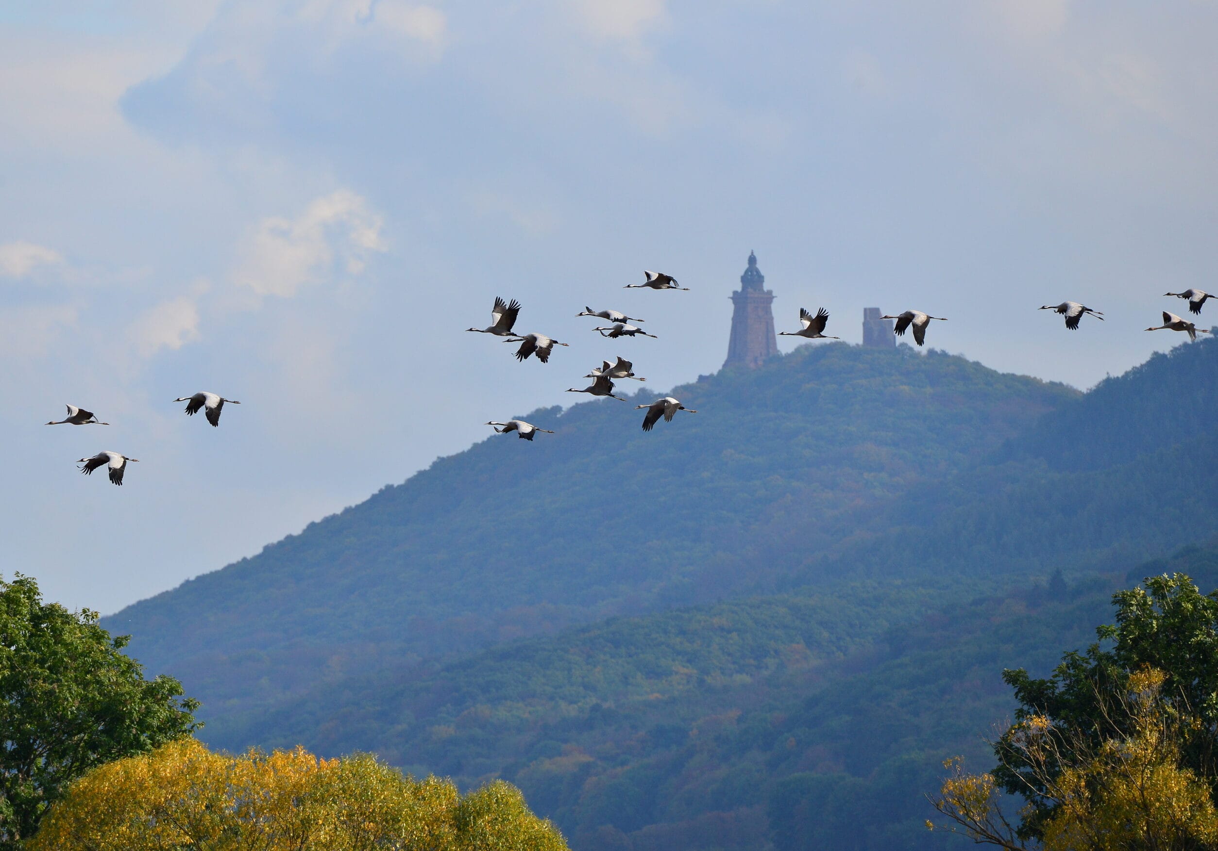 Kraniche vorm Kyffhäuser-Denkmal Autor Heiko Kolbe – Kopieren