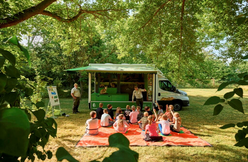 Ein Stück Urwald auf der Landesgartenschau