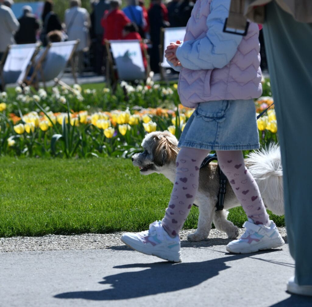 Mit Hund zur Landesgartenschau: Das gilt auf dem Gelände