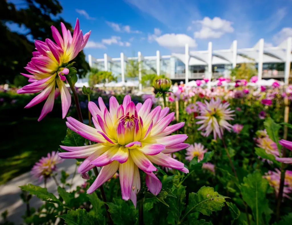 Kombiticket für Landesgartenschau und egapark gestartet